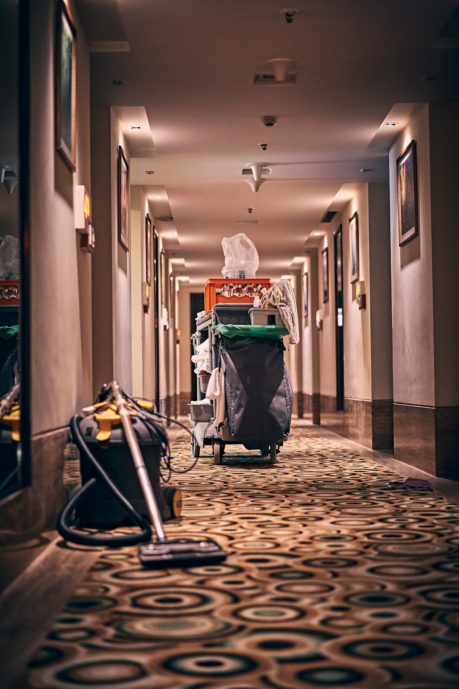 Cleaning equipment prepared for a professional service